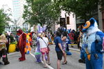 DSC_6475.JPG